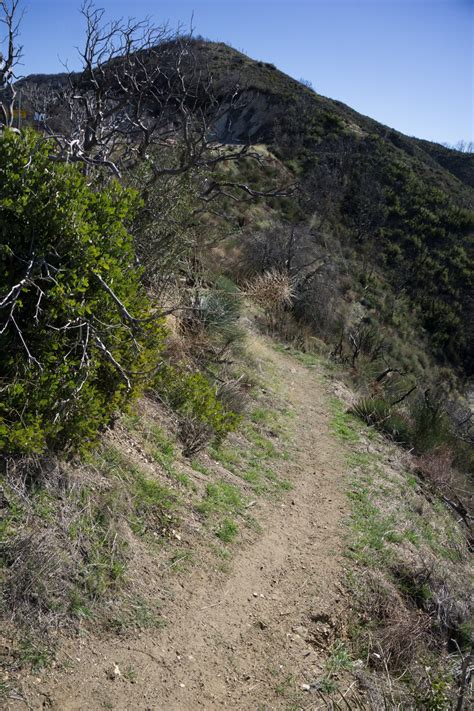 Angeles National Forest Trail Free Stock Photo - Public Domain Pictures