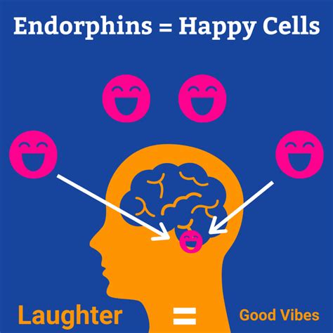 Why are Laughter and Endorphins connected?