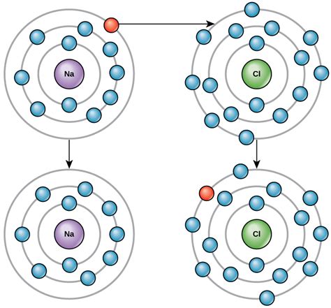 The Building Blocks of Molecules | Biology I