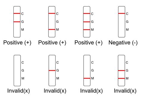 COVID-19 Antibody Rapid Test Kit | Coronavirus IgG IgM Rapid Test