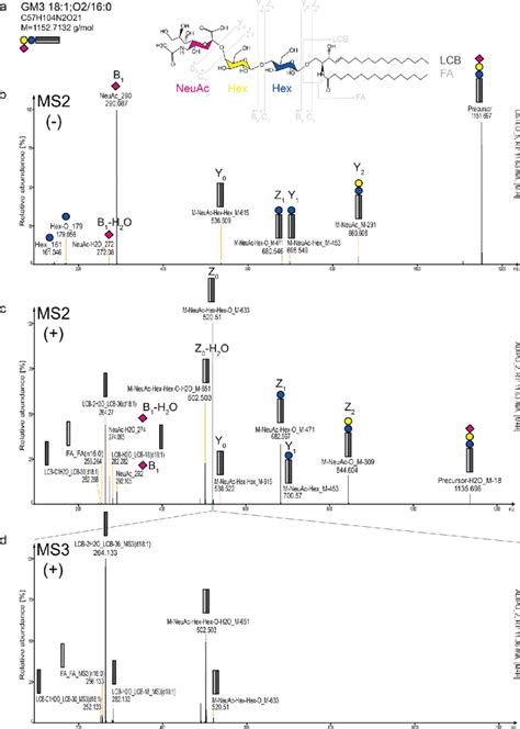 Molecular species ganglioside annotation by high-qualitiy spectra ...