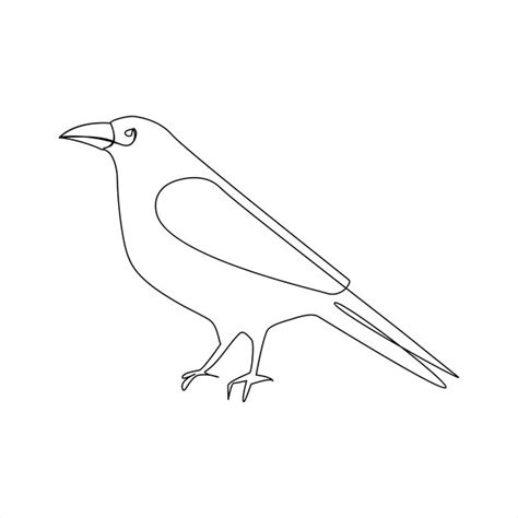 Premium Vector | Vector crow drawing in one continuous line isolated on ...