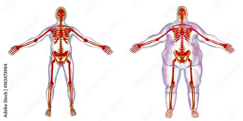 Obesity problem conceptual image, 3D illustration showing normal wieght ...