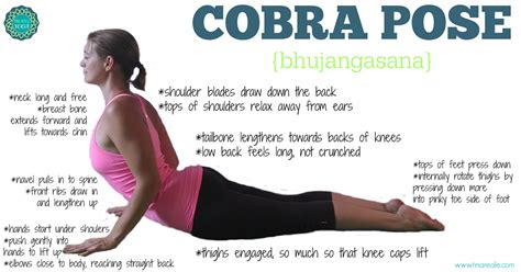 Tips On How To Do Cobra Pose In Yoga | Cobra pose yoga, Cobra pose, Yoga poses