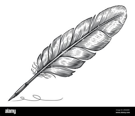 Feather quill pen graphic black white isolated sketch illustration ...