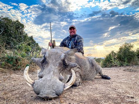 Why Hunting Warthog in Africa is Thrilling - Huntershill Safaris