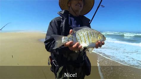 Surf Perch Fishing May 1st - YouTube