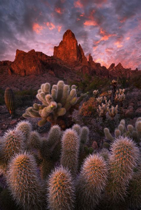 Traveling Page - 🌍 Kofa Mountains, Arizona, US