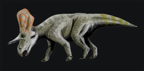 Zuniceratops Pictures & Facts - The Dinosaur Database