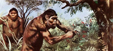 Paranthropus robustus (by Zdenek Burian) | Prehistórico, Evolución humana, Evolucion