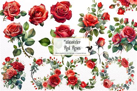 Watercolor Red Roses Clipart Roses and Leaves in PNG Format - Etsy UK