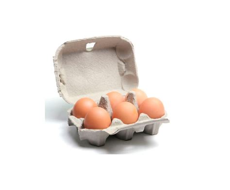 6 PCS Pulp Egg Tray - Neeyog Packaging