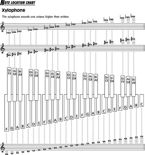 Notes On Xylophone Chart