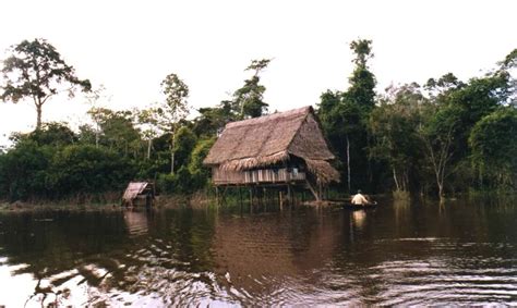 Peru moves to protect new swath of Amazon – CounterVortex