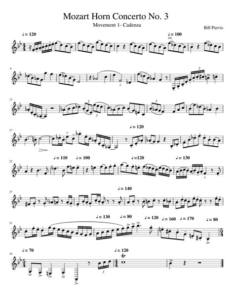 Mozart Horn Concerto No. 3 Sheet music for French Horn | Download free ...