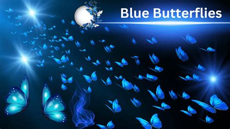 Blue Butterfly [Spiritual Meaning & Symbolism]