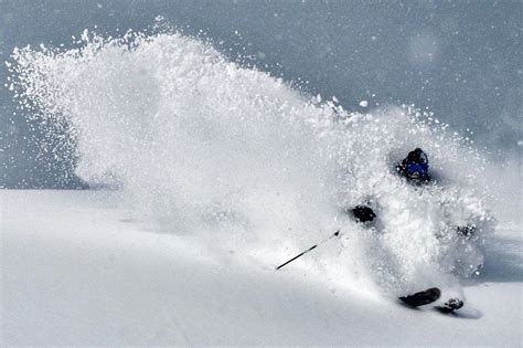 Half-day Skiing in the Tohoku Area with FWQ skier Alain Kajita (Group). 1/2-day trip. Certified ...