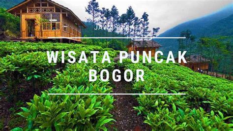 Wisata Baru Di Puncak Bogor 2021 - Tamasya Indonesia