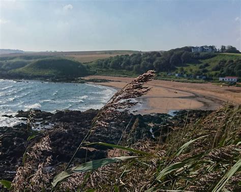 Coldingham Bay. | Scotland beach, Beaches in the world, Most beautiful beaches