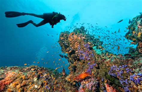 10 Florida Scuba Diving Destinations with Camping Nearby