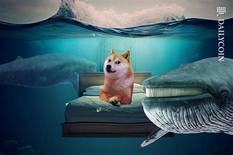 Dogecoin Whales Rise Amidst Foundation Dev's Stark Warning - DailyCoin