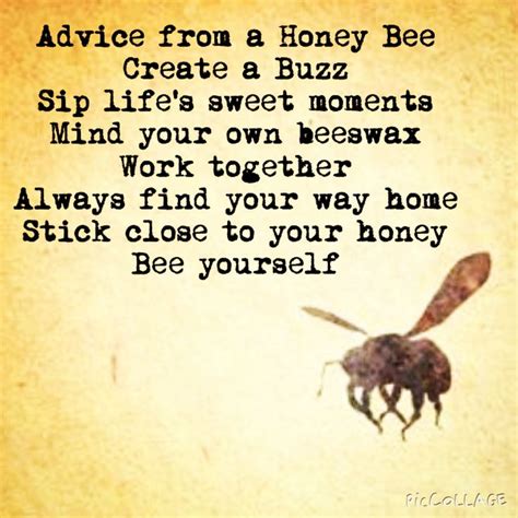 Best 25+ Bee quotes ideas on Pinterest | Speak life, Verses on healing ...