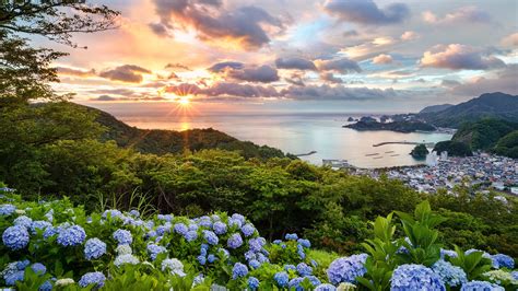 Japan, flowers, Asia, nature, trees, Sun, plants, horizon, ports, clouds, landscape, sunlight ...