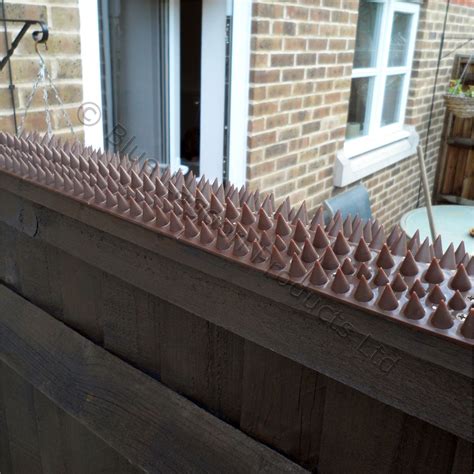 5 Metre Brown Wall Fence Spikes Anti Climb Security Cat Bird Repellent Deterrent | eBay