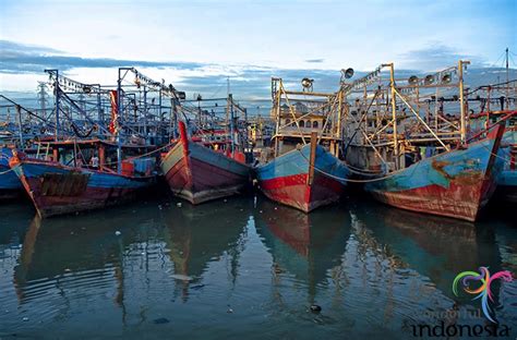 Jakarta Tourism - Photo Gallery muara angke port jakarta