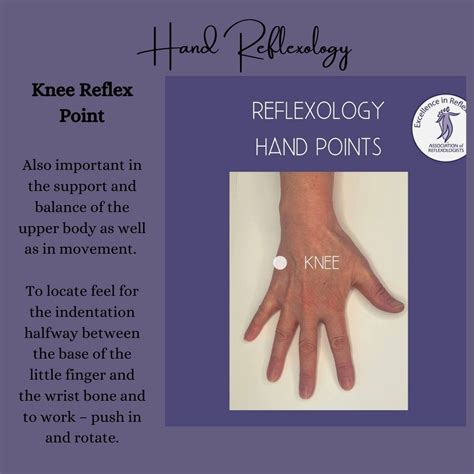 Knee-Reflex-Point | Reflex & Holistics