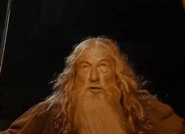 You Shall Not Pass Gandalf Gif