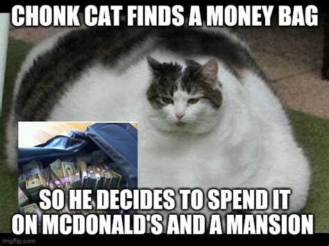 Chonk Cat's Lucky Day - Imgflip