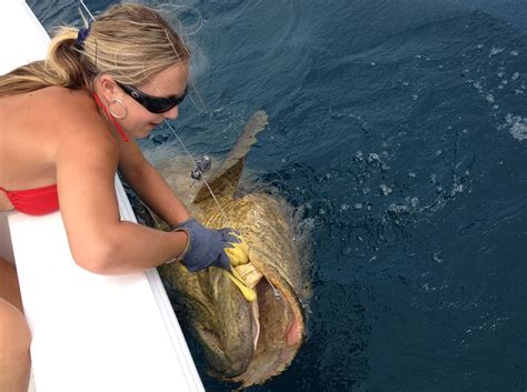 Goliath Grouper Fishing Charters | Handline or Rod & Reel