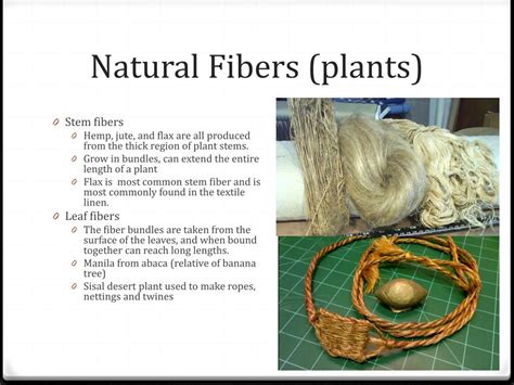 PPT - Fibers and Textiles PowerPoint Presentation, free download - ID:2132926