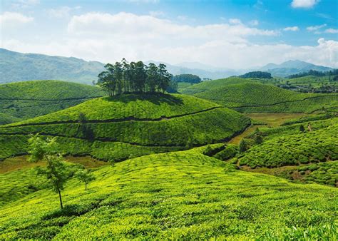 Visit Munnar on a trip to India | Audley Travel