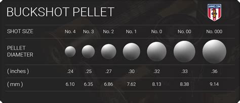 Buckshot vs Birdshot: What’s the Difference? • Air Gun Maniac