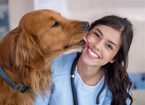 Dog giving kiss to the vet - dog licking the vet's face | East Valley Animal Hospital