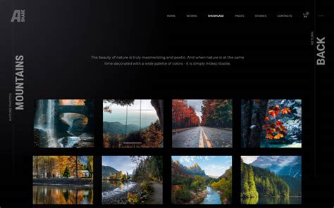 20 Best Photography WordPress Themes -Designer's Pick | Neuron Themes