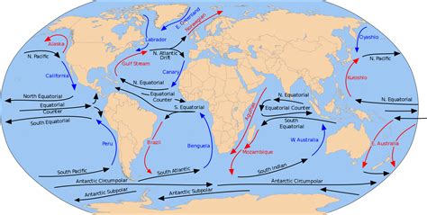 Corrientes oceánicas. | Corriente oceánica, Mapas del mundo, Mapa de los oceanos