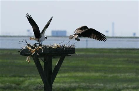 Wildlife Refuge Near Me Now