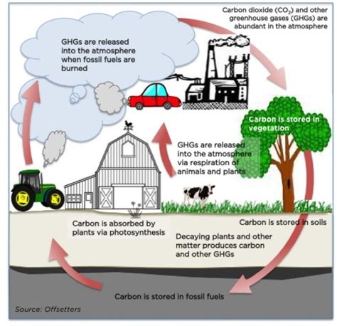 33 Mindblowing Facts About Global Warming In 2023