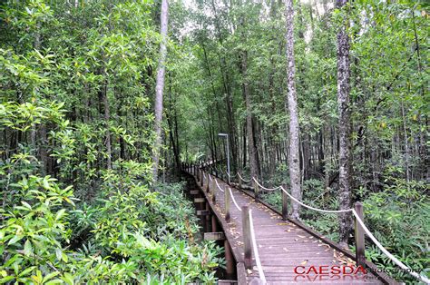 Matang Mangrove Forest Reserve_005 | Matang Mangrove Forest … | Flickr