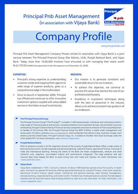 Business Profile Examples - BuyerPricer.com | Company profile template, Company profile ...