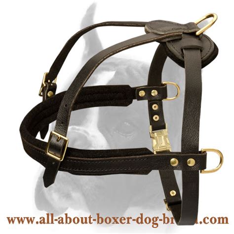 Wonderful Boxer Harness for Pulling/Tracking/Walking and other activities [H5###1035 Pulling ...