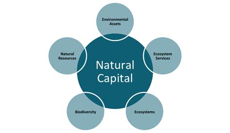 Greenstone Sustainability Blog | Natural Capital