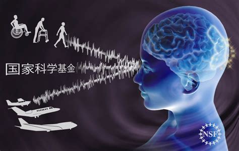 Cortical Blindness May Soon Be Cured