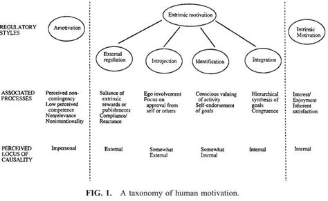 Intrinsic vs. Extrinsic Motivation | Built In