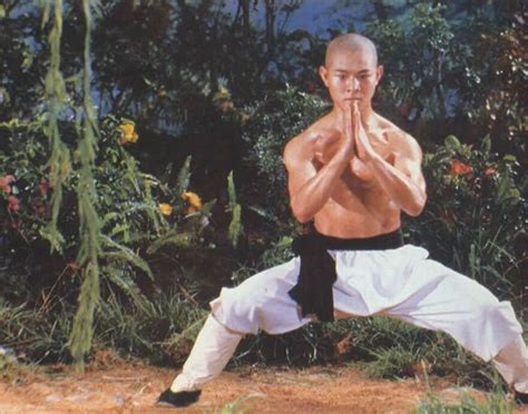 64 best images about Jet Li - Chinese Kung Fu Movies on Pinterest ...