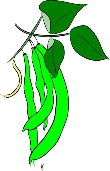 Green Bean Cartoon - ClipArt Best