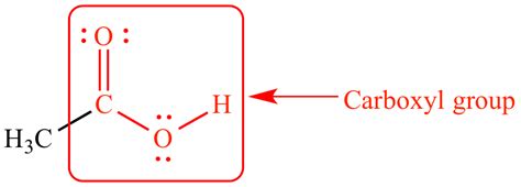 examples of carboxyl group